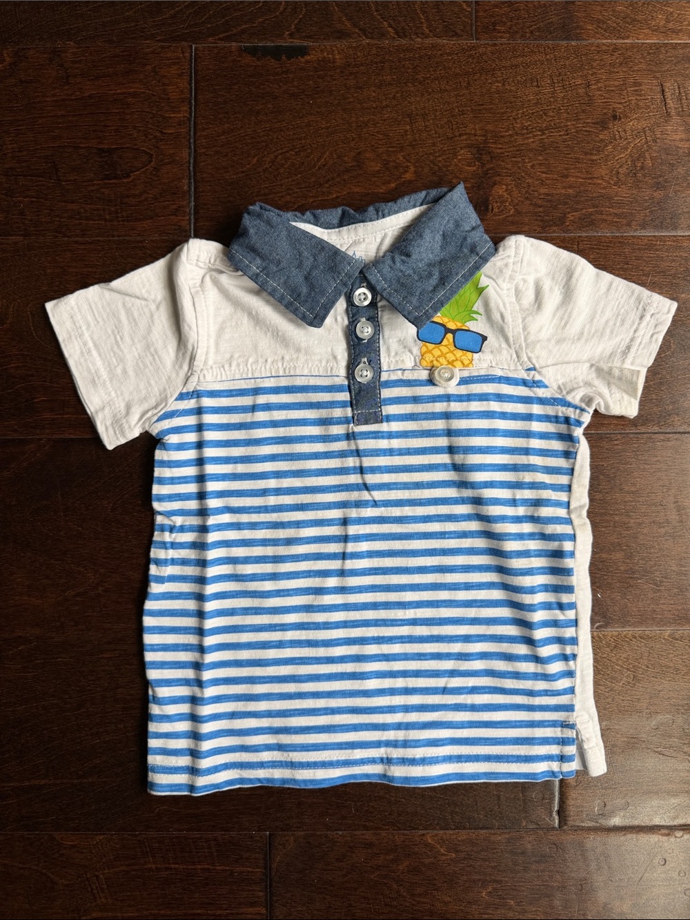 Boys Blue Striped Polo Shirt with Pineapple Graphic